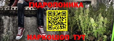 ГАЛЛЮЦИНОГЕННЫЕ ГРИБЫ Ипатово