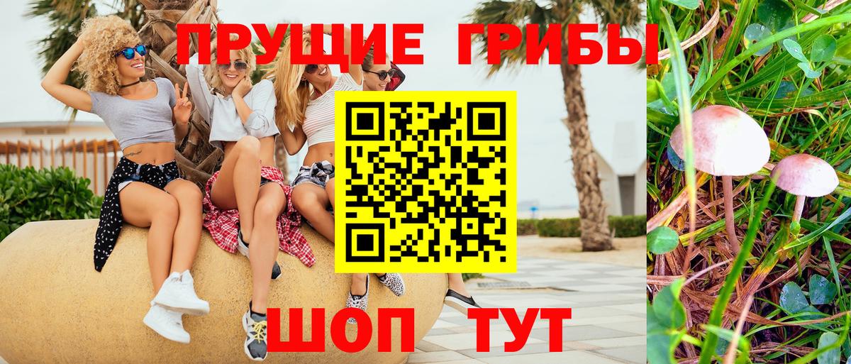 Псилоцибиновые грибы GOLDEN TEACHER Валуйки